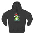 "I don't care" bear Graphic Hoodie(holiday edition) for Festivals, Men's and Women's Fashion, Perfect Gift for Stoners